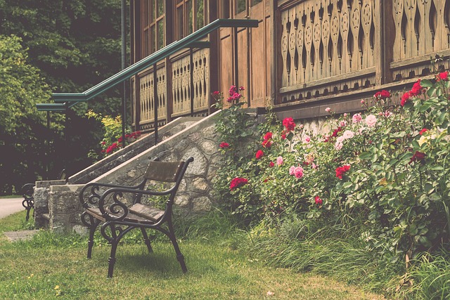 德戈维哥萨 德戈维哥萨