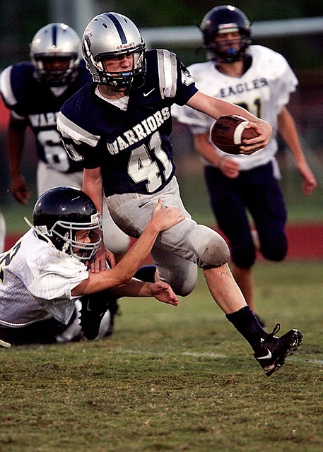 法国队捧得 法国队捧得