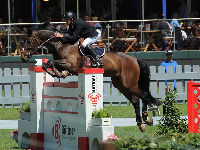 然而她选择 然而她选择